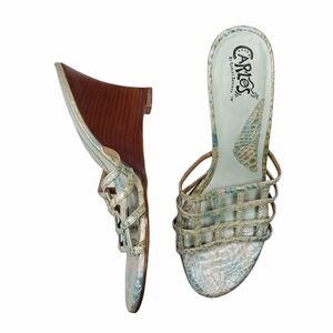 Carlos Santana | Cage Mint Leather Snake Wedges 7